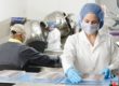 sol_industrie_agroalimentaire